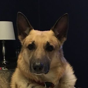 Meet your Posher, Paul